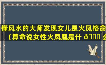 懂风水的大师发现女儿是火凤格命（算命说女性火凤凰是什 🕊 么意 🐡 思）